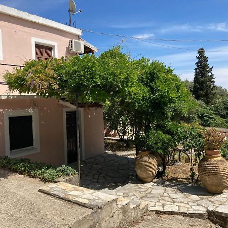 Aliki'S Comfortable Holiday Apartments-Great Location ニサキオン エクステリア 写真